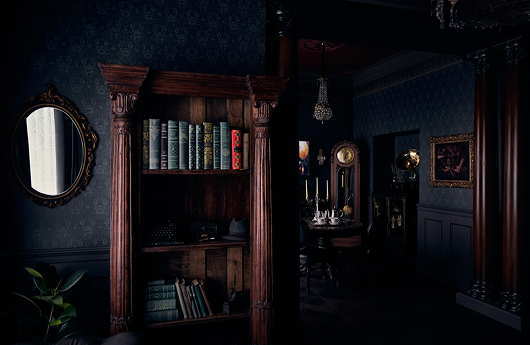 Bookshelf and mirror detail, looking through into the next room